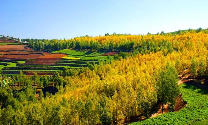 1529582019900517.jpg 微信圖片_20180621194732.jpg