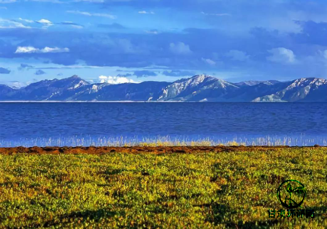 1529995279431143.jpg 08.jpg